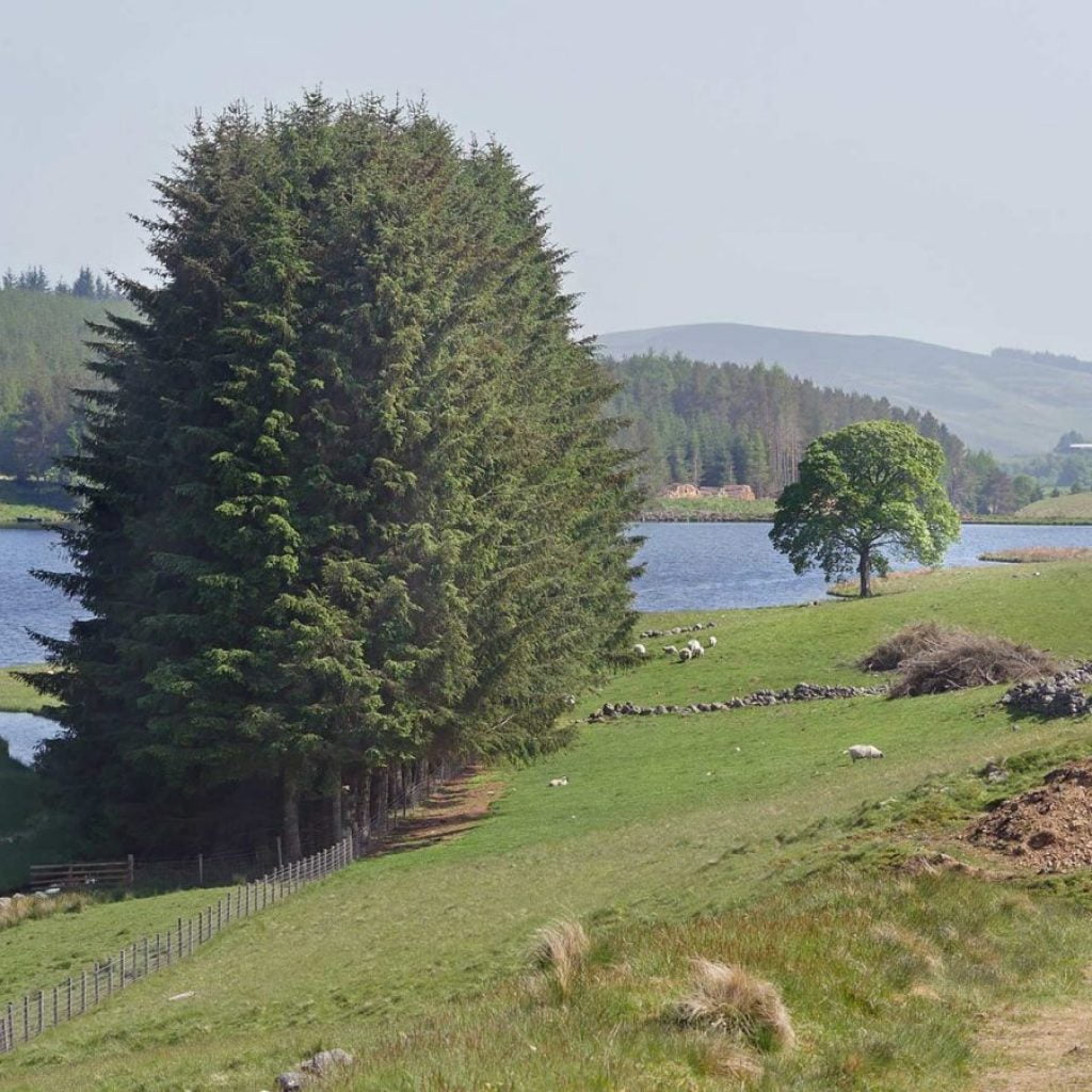 Kirkton Of Glenisla To Loch Shandra Loop Cateran Ecomuseum