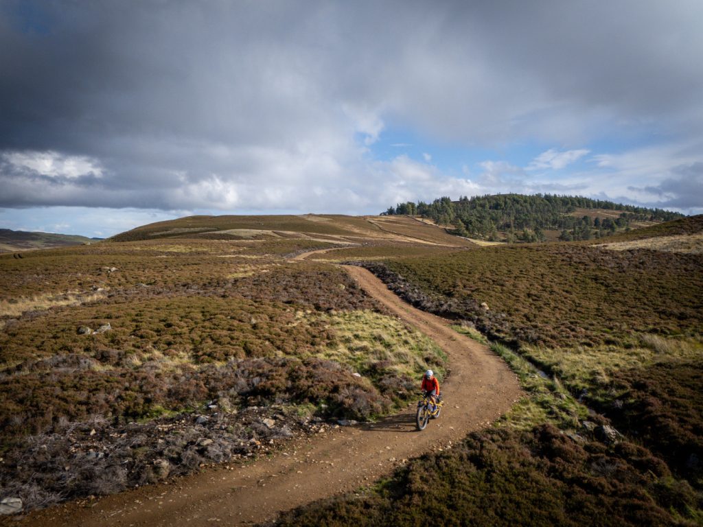 dji_20250428120206_0355_d