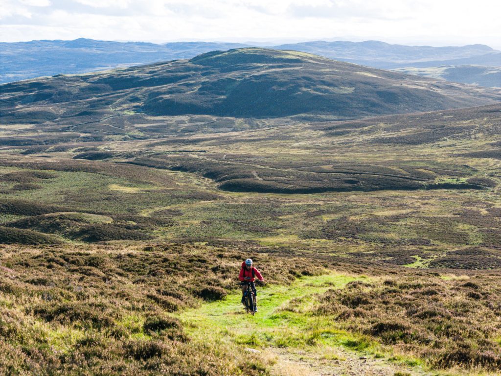 dji_20250428123519_0370_d