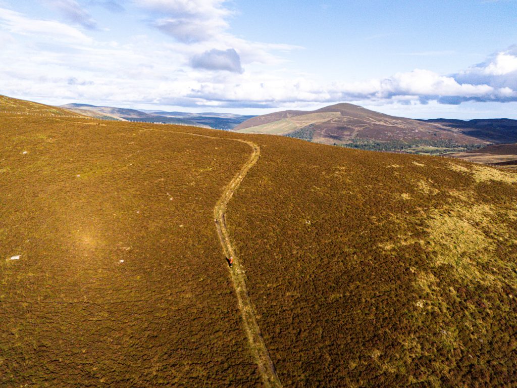 dji_20250428124323_0381_d