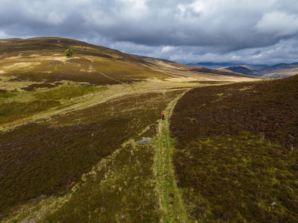 dji_20250429075835_0407_d