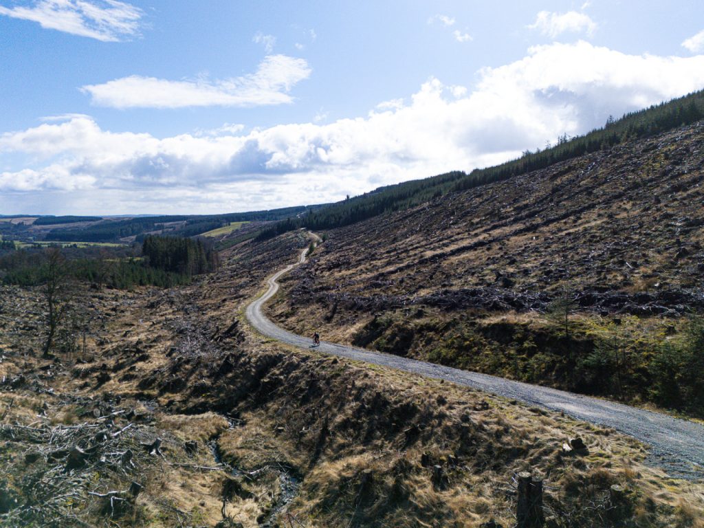 dji_20250730103746_0075_d