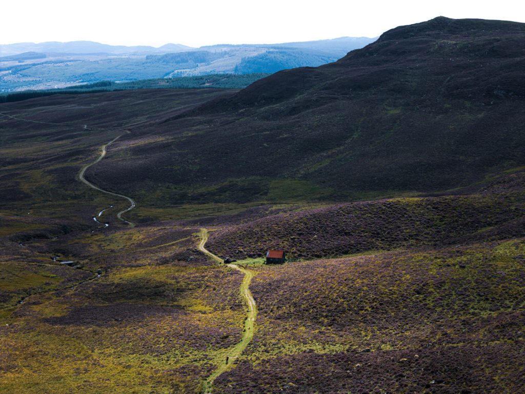 dji_20250807152201_0056_d